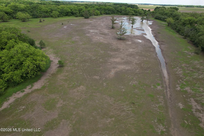 145+/- acres for sale in Coahoma County, located on Jenkins Road - photo 21