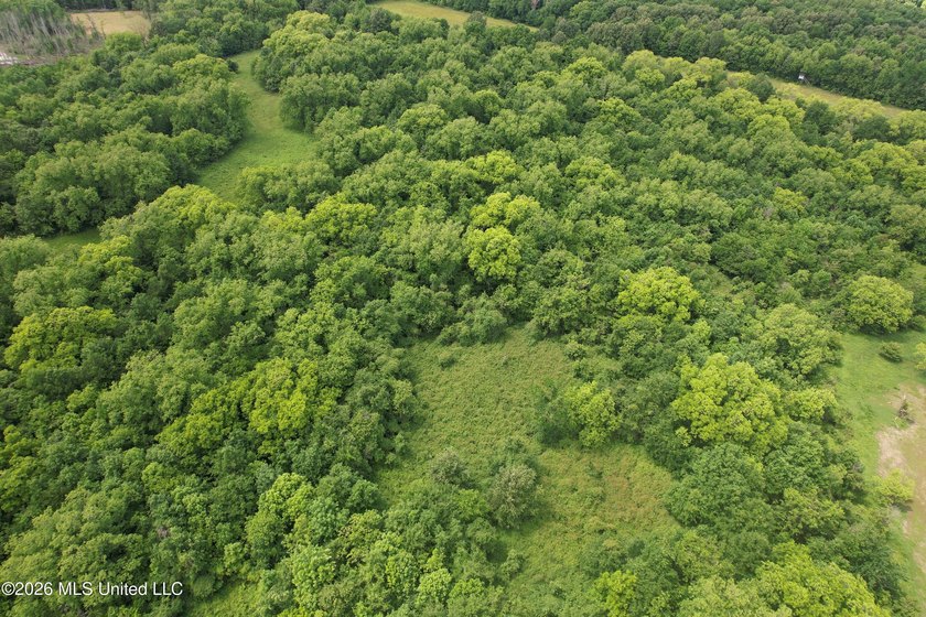 145+/- acres for sale in Coahoma County, located on Jenkins Road - photo 22
