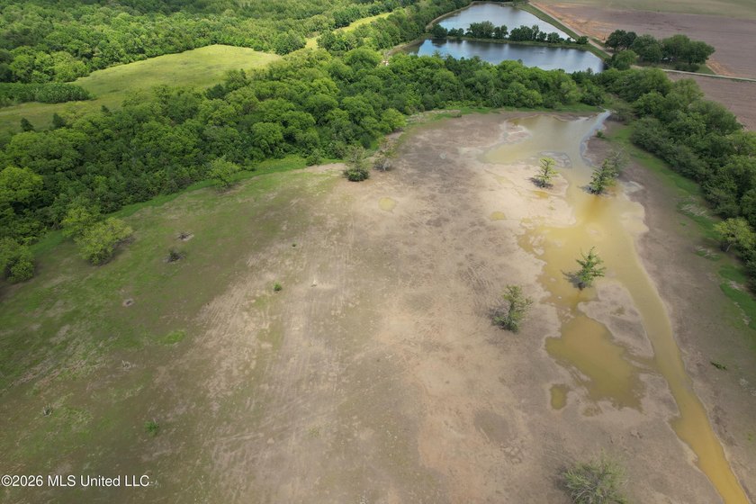 145+/- acres for sale in Coahoma County, located on Jenkins Road - photo 23
