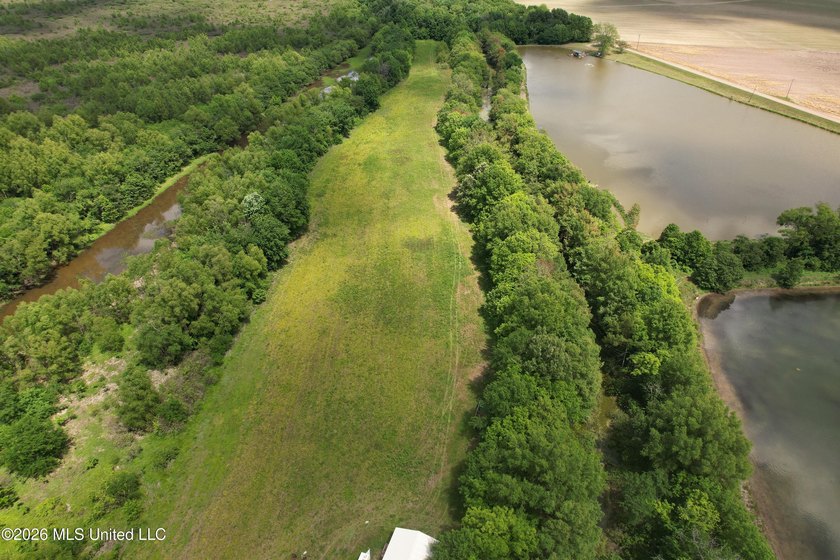 145+/- acres for sale in Coahoma County, located on Jenkins Road - photo 24