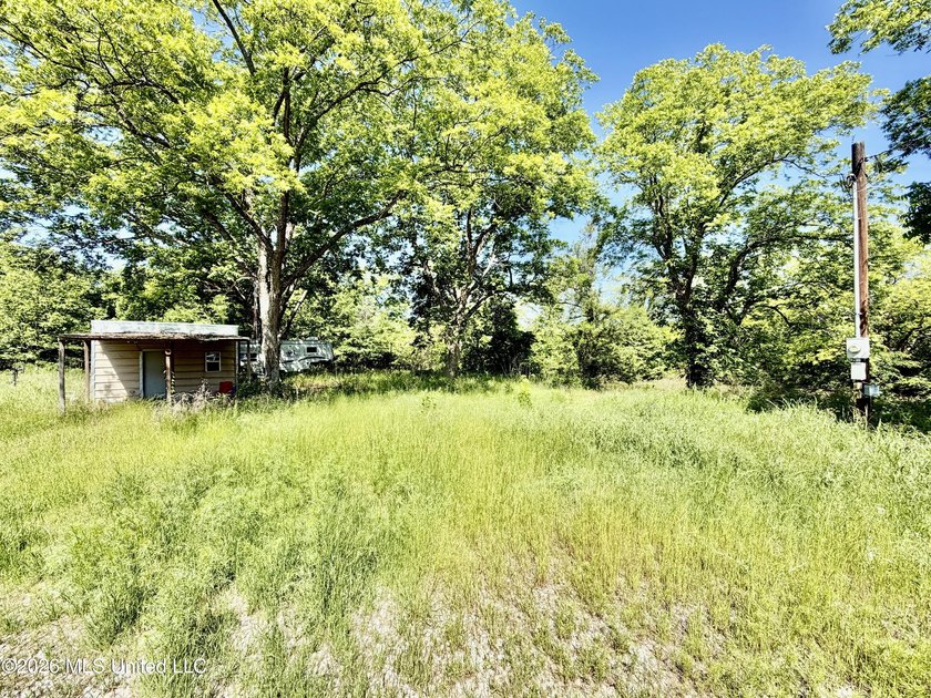 145+/- acres for sale in Coahoma County, located on Jenkins Road - photo 26