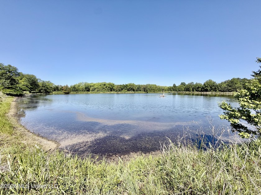 145+/- acres for sale in Coahoma County, located on Jenkins Road - photo 29