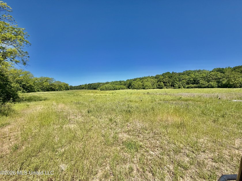 145+/- acres for sale in Coahoma County, located on Jenkins Road - photo 30