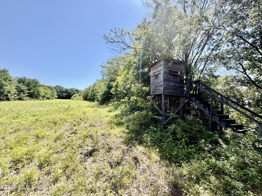 145+/- acres for sale in Coahoma County, located on Jenkins Road - photo 33