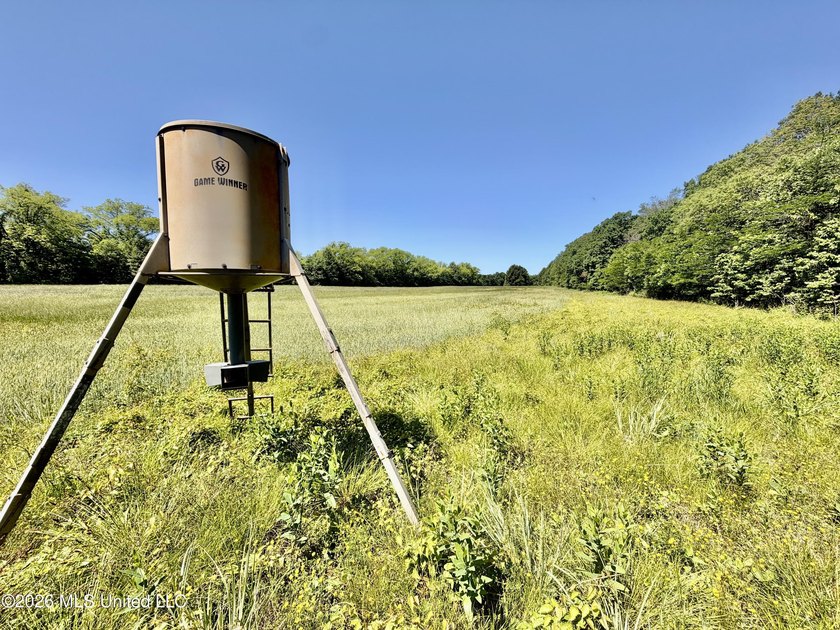 145+/- acres for sale in Coahoma County, located on Jenkins Road - photo 37