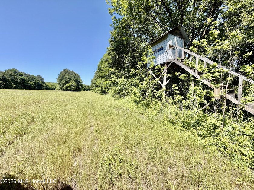145+/- acres for sale in Coahoma County, located on Jenkins Road - photo 38