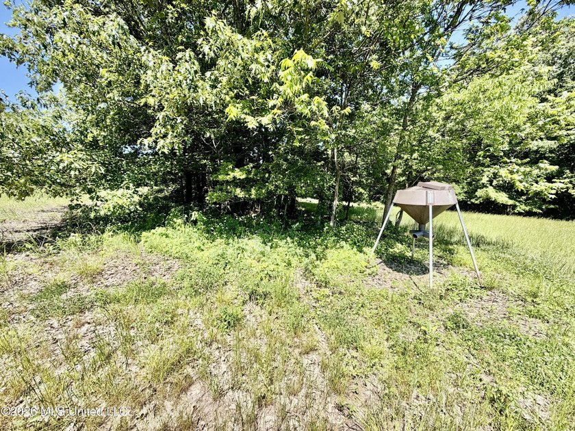 145+/- acres for sale in Coahoma County, located on Jenkins Road - photo 39