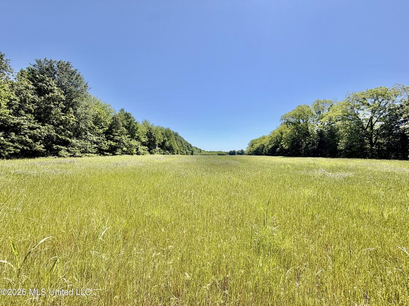 145+/- acres for sale in Coahoma County, located on Jenkins Road - photo 40