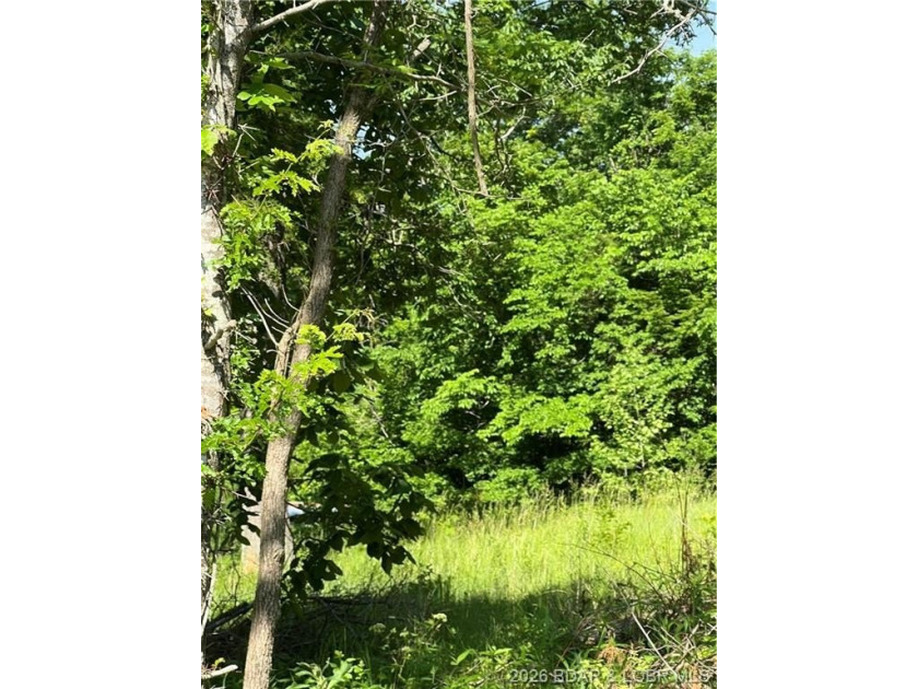 Build-Ready 5.75 Acres with Utilities! Bring your house plans - photo 2