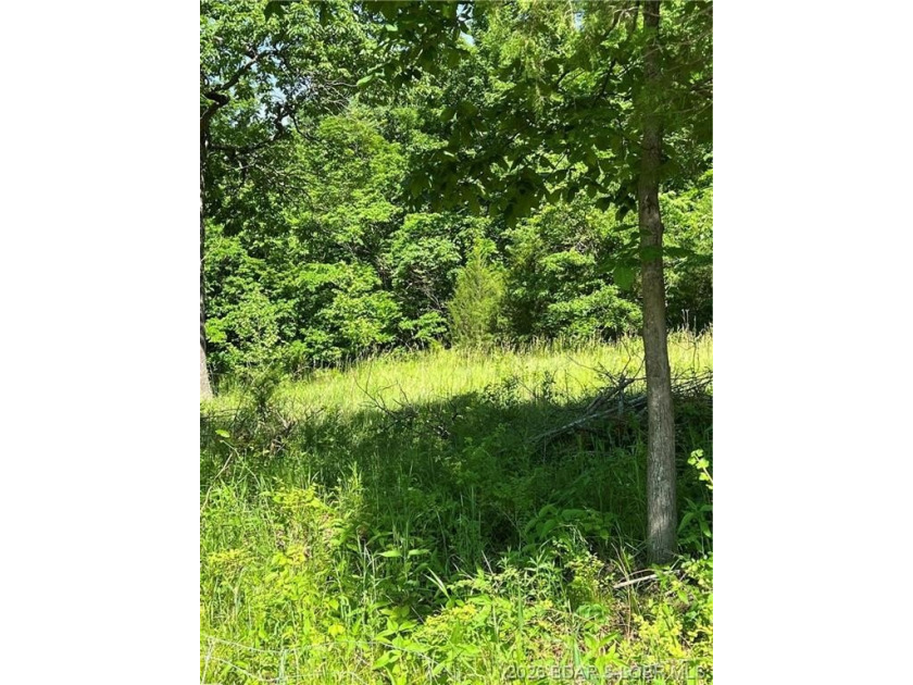Build-Ready 5.75 Acres with Utilities! Bring your house plans - photo 4