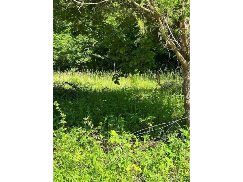 Build-Ready 5.75 Acres with Utilities! Bring your house plans - photo 5