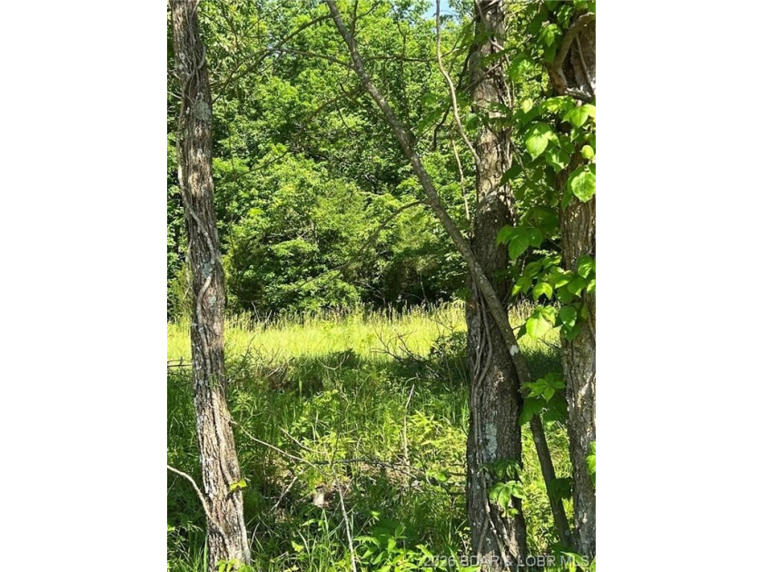 Build-Ready 5.75 Acres with Utilities! Bring your house plans - photo 6