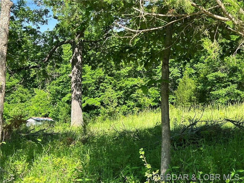 Build-Ready 5.75 Acres with Utilities! Bring your house plans - photo 8