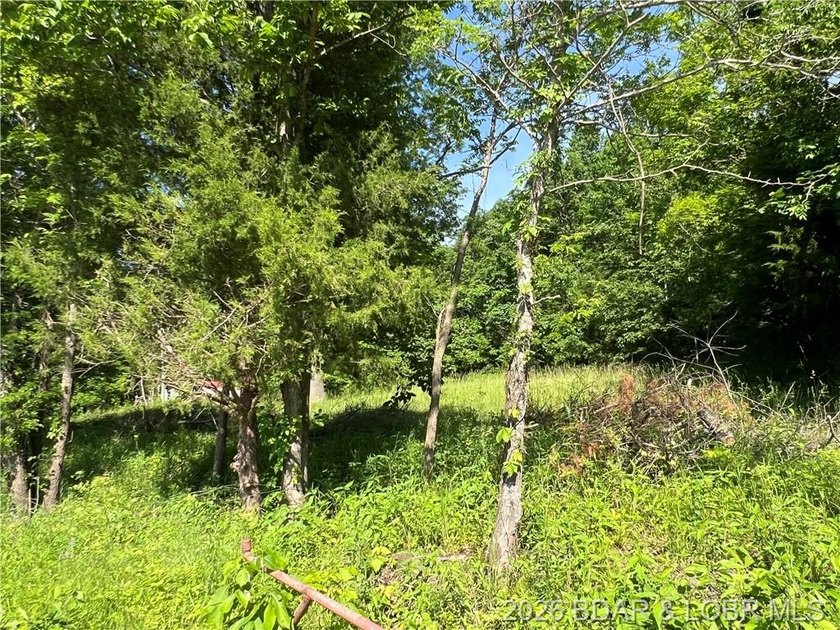 Build-Ready 5.75 Acres with Utilities! Bring your house plans - photo 9