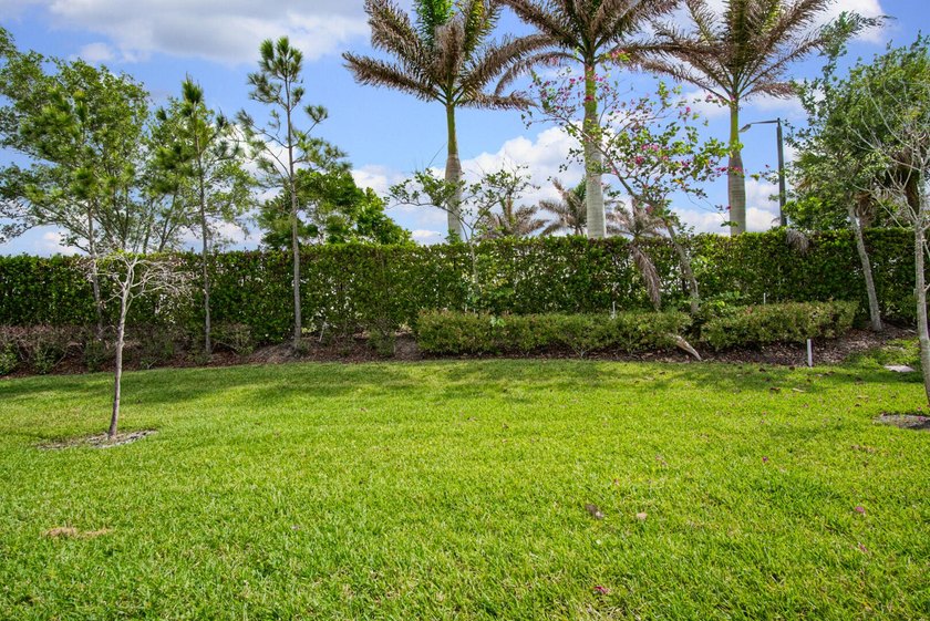 Endless natural light and low maintenance single-level living - photo 18