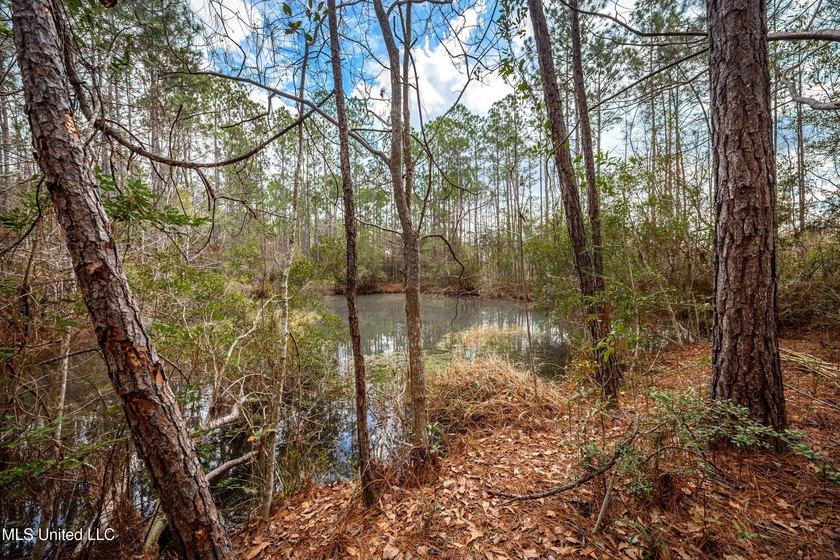 Discover exceptional potential with this 3 bedroom, 2 bath home - photo 45