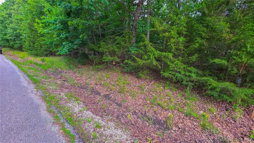 Build your dream home on this premium, exceptionally level lot - photo 2