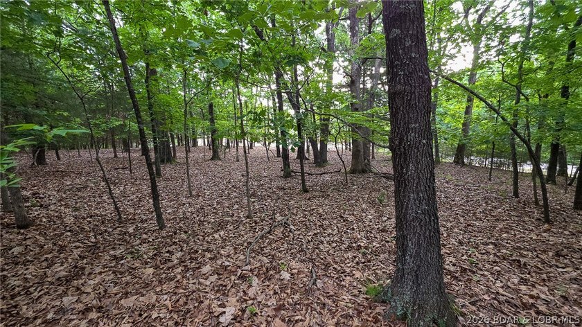 Build your dream home on this premium, exceptionally level lot - photo 4
