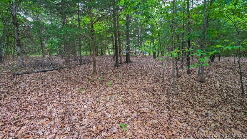 Build your dream home on this premium, exceptionally level lot - photo 5