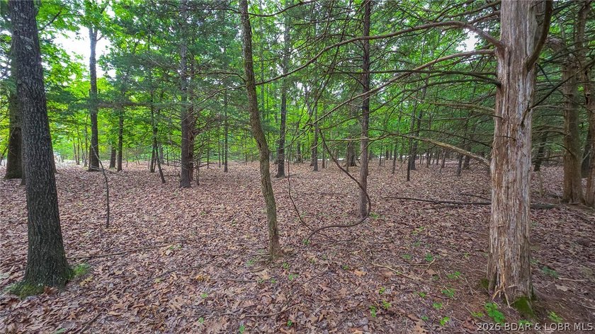 Build your dream home on this premium, exceptionally level lot - photo 6