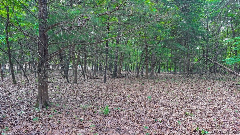 Build your dream home on this premium, exceptionally level lot - photo 7