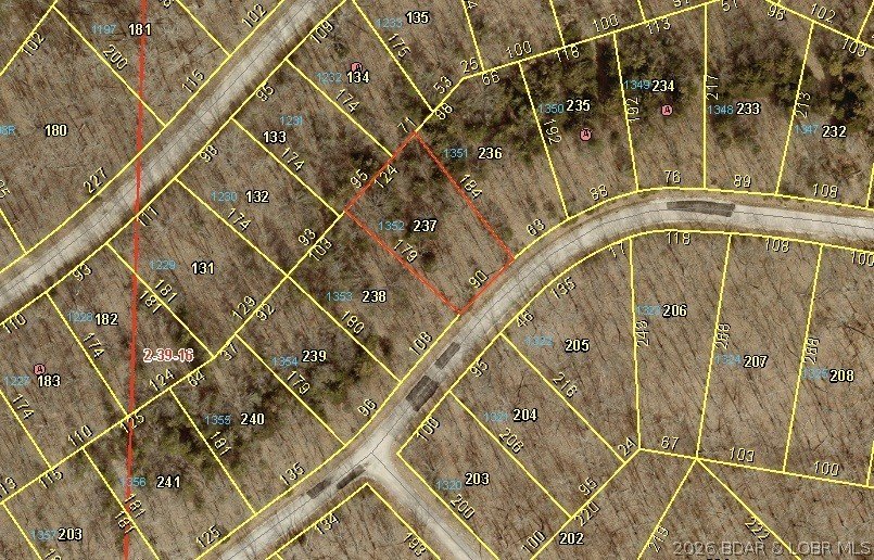 Build your dream home on this premium, exceptionally level lot - photo 8