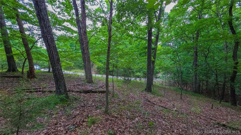 Embrace the perfect blend of natural tranquility and luxury - photo 6