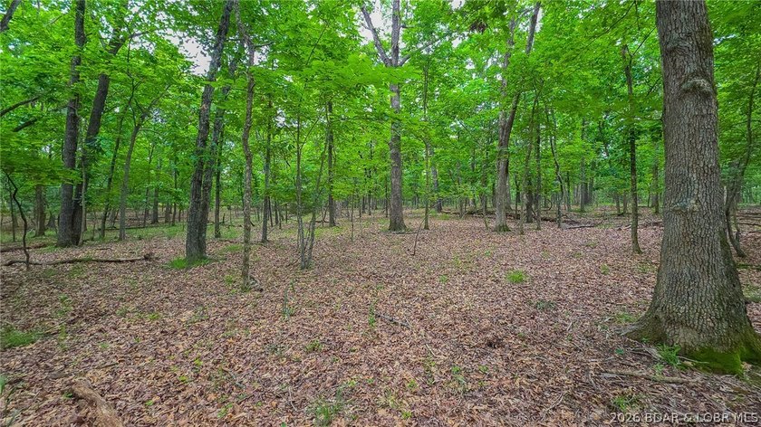 Embrace the perfect blend of natural tranquility and luxury - photo 10