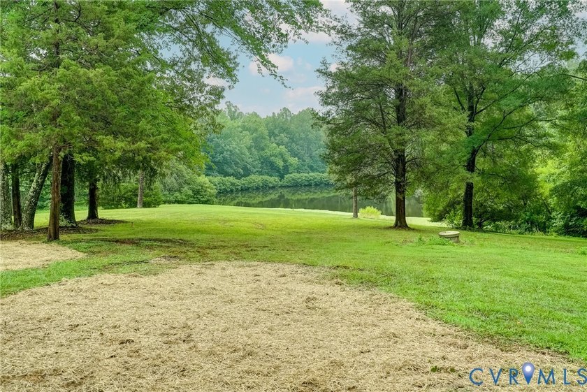 This gorgeous home in Crozier has been completely renovated so - photo 44