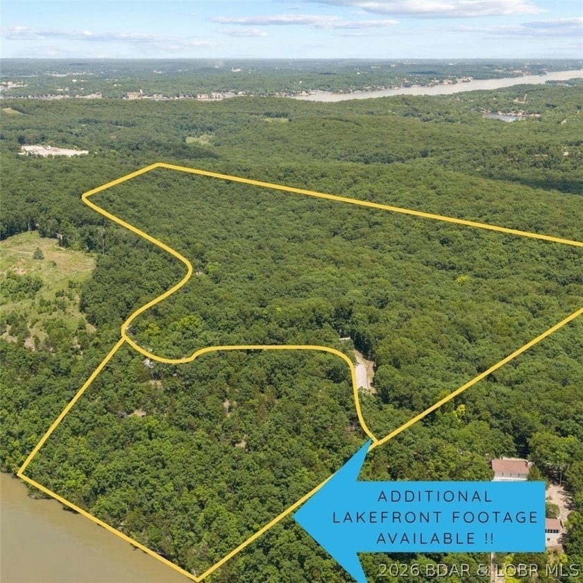 Two adjoining parcels totaling approximately 72 +/- wooded acres - photo 4
