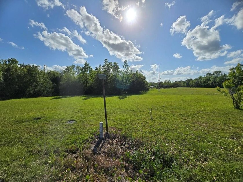READY TO TO BUILD YOUR DREAM HOME?! THIS 4.319+/- ACRE LAND - photo 2