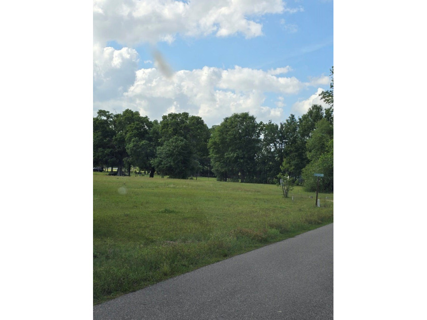 READY TO TO BUILD YOUR DREAM HOME?! THIS 4.319+/- ACRE LAND - photo 4