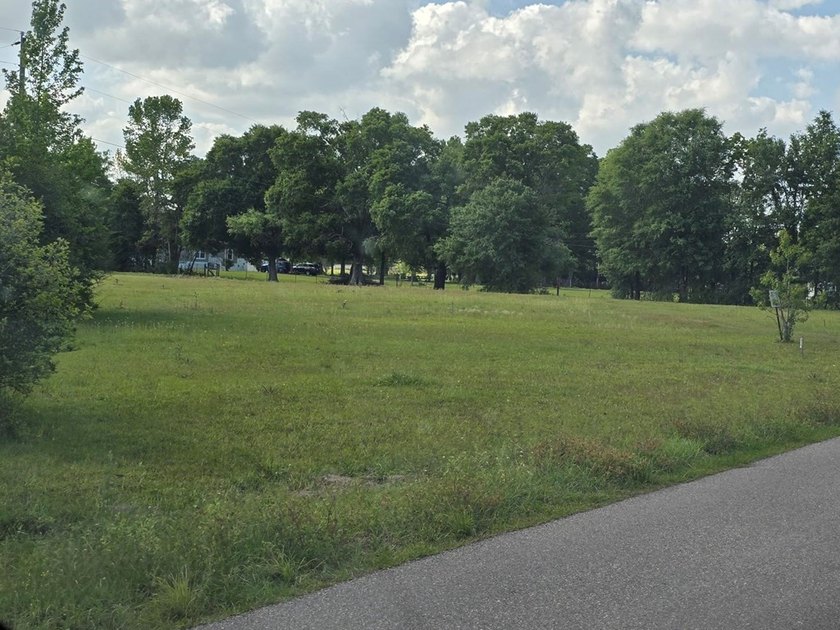 READY TO TO BUILD YOUR DREAM HOME?! THIS 4.319+/- ACRE LAND - photo 6