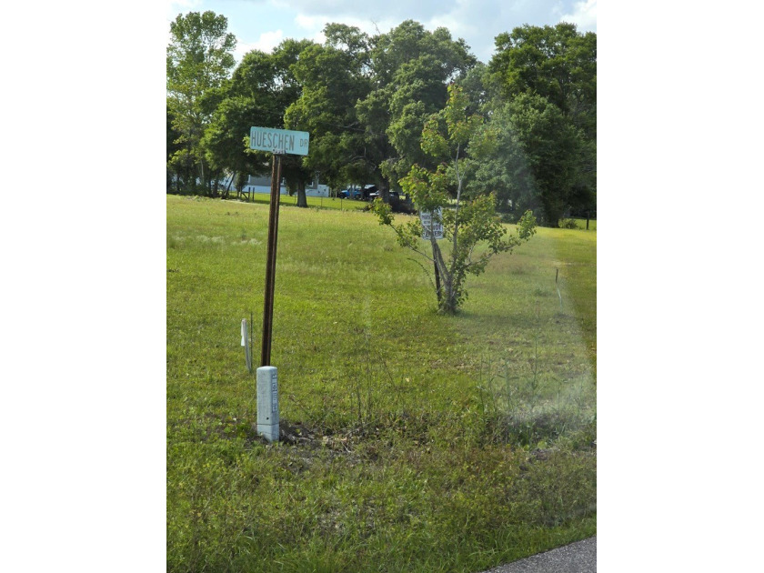 READY TO TO BUILD YOUR DREAM HOME?! THIS 4.319+/- ACRE LAND - photo 7