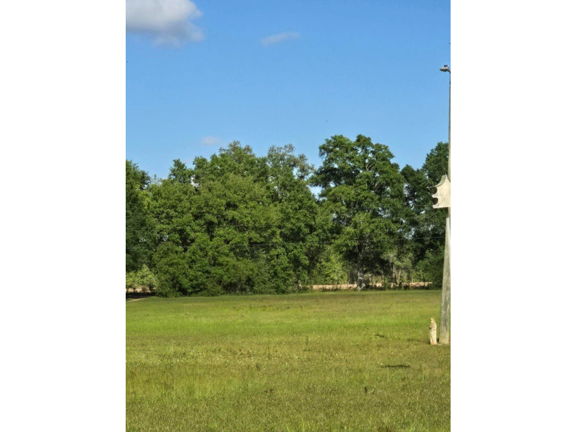 READY TO TO BUILD YOUR DREAM HOME?! THIS 4.319+/- ACRE LAND - photo 9
