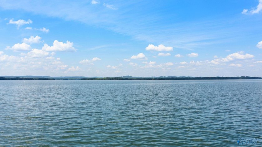 Experience lake living in sought-after Big Nose Estates on Weiss - photo 50