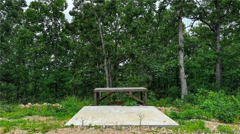 Escape to your own private retreat with this 21.48-acre tract in - photo 6