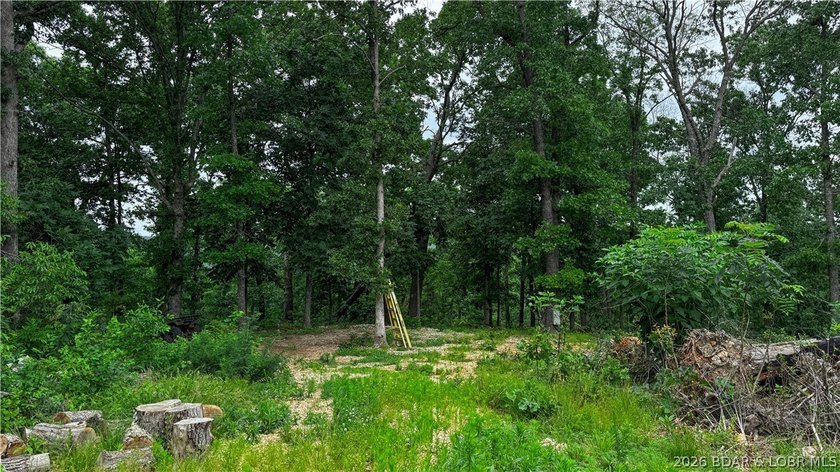 Escape to your own private retreat with this 21.48-acre tract in - photo 9
