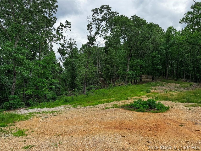 Escape to your own private retreat with this 21.48-acre tract in - photo 10