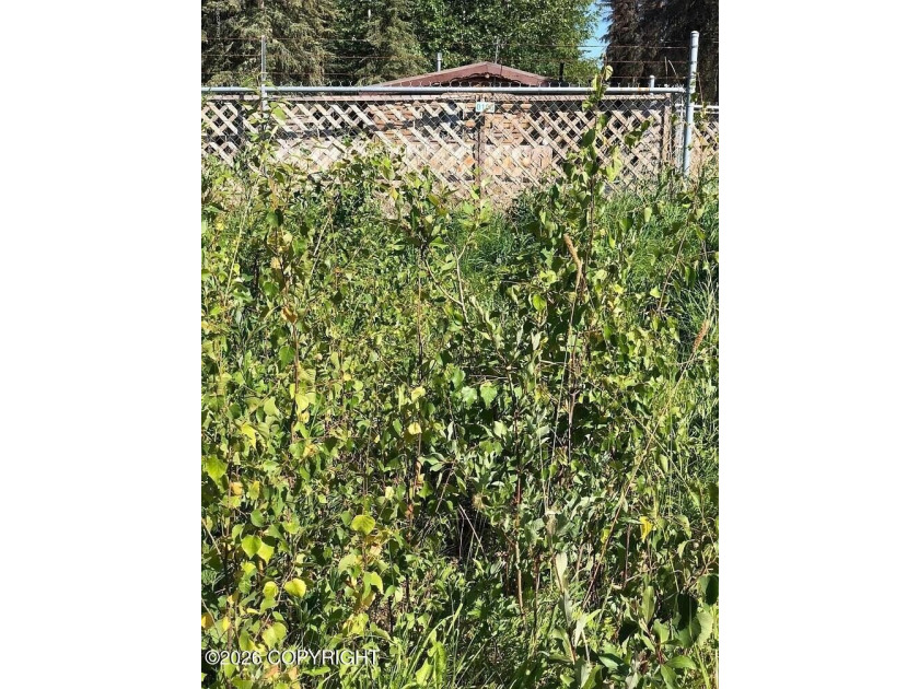 Experience the ultimate Kenai River summer at Poacher's Cove - photo 34