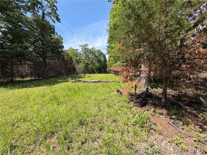 Great Building Sites! Tons of possibilities. 9 Acres of mostly - photo 5