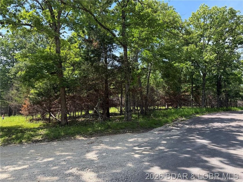 Great Building Sites! Tons of possibilities. 9 Acres of mostly - photo 6
