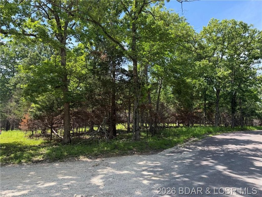 Great Building Sites! Tons of possibilities. 9 Acres of mostly - photo 9