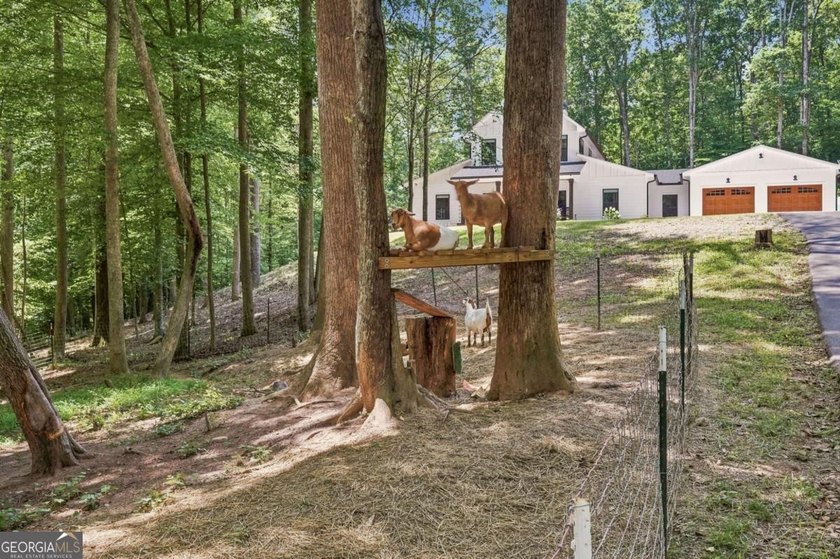 1684 Fairview Road, Jasper, Georgia Where Modern Farmhouse - photo 48