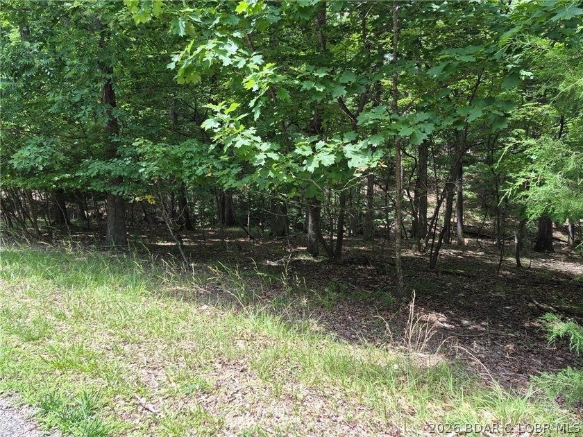 Potential Building Homesite ....with Gentle/Level Topography - photo 9