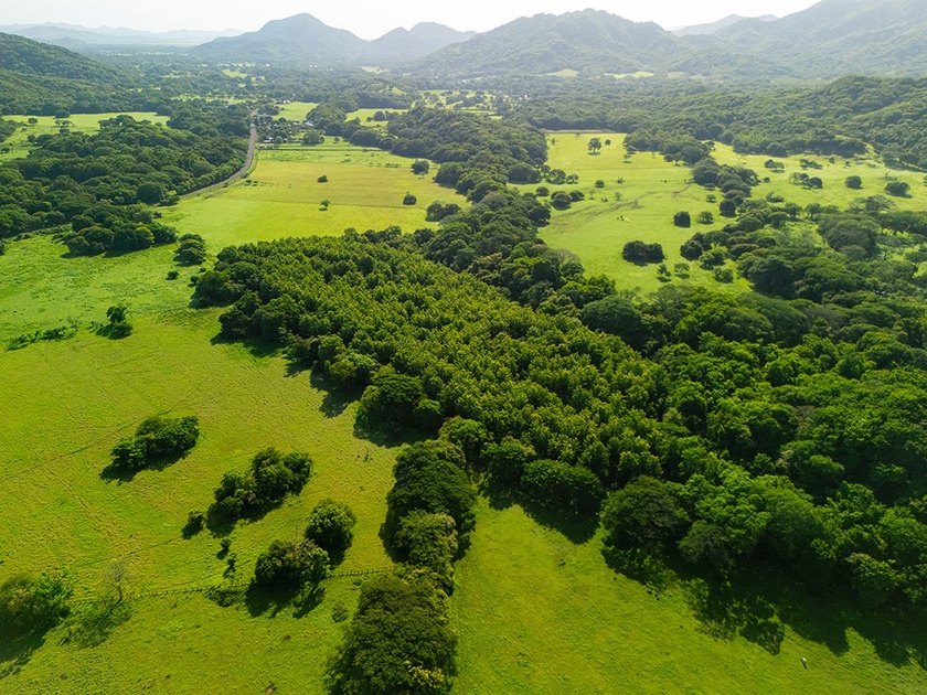 COSTA RICA: 1300+ acres of pristine Jungle/Forest/Valleys in the - photo 2