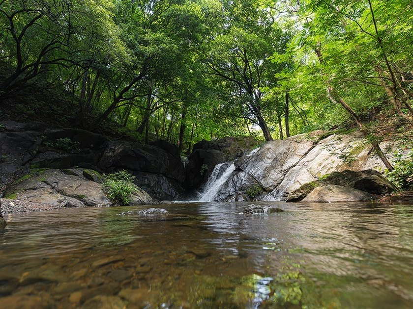 COSTA RICA: 1300+ acres of pristine Jungle/Forest/Valleys in the - photo 5