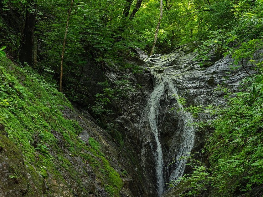 COSTA RICA: 1300+ acres of pristine Jungle/Forest/Valleys in the - photo 7