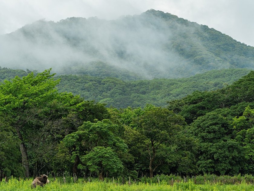 COSTA RICA: 1300+ acres of pristine Jungle/Forest/Valleys in the - photo 9