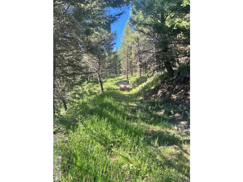 Perched high above Henry's Lake, this remarkable 13.44-acre - photo 4